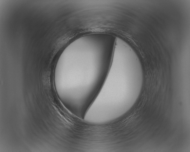 X0000054360299200507290812