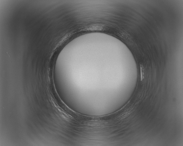 X0000054360300200507290812