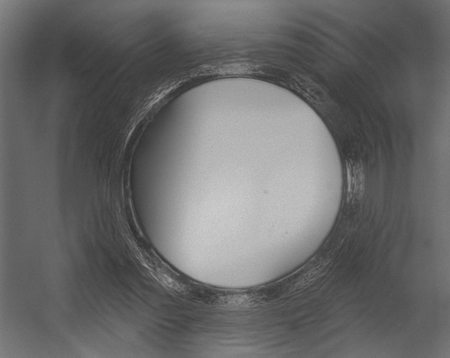 X0000054360301200507290812