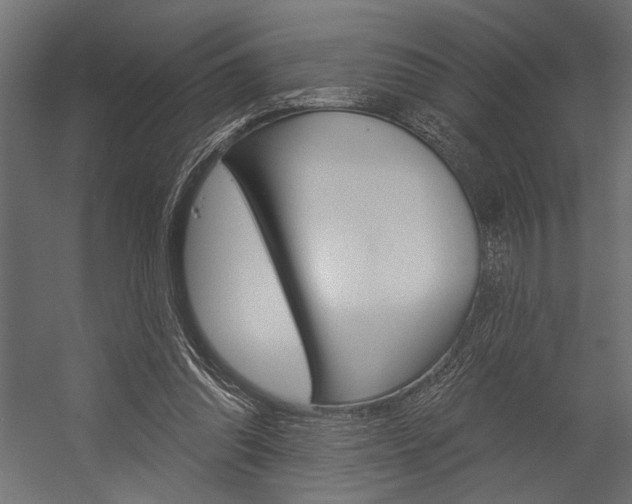 X0000054360302200507290812
