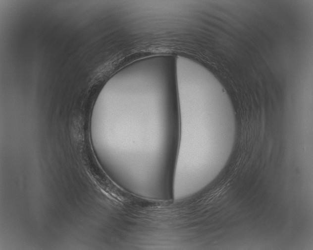X0000054360303200507290812