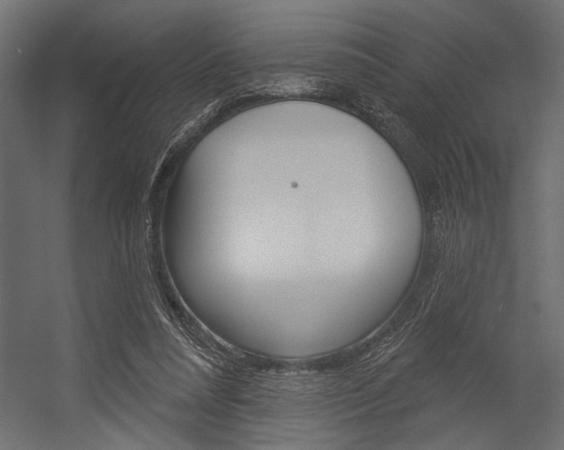 X0000054360304200507290812