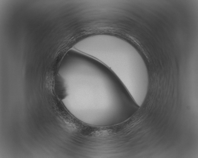 X0000054360307200507290812