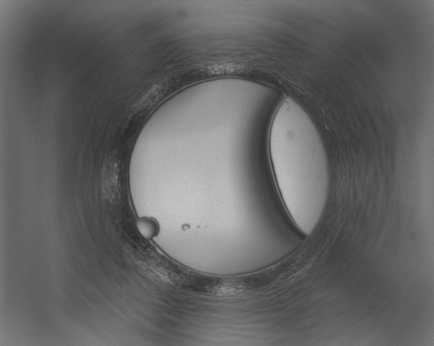 X0000054360308200507290812