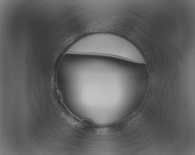 X0000054360309200507290812