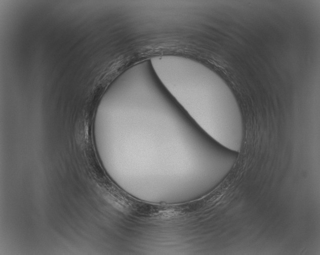 X0000054360310200507290812