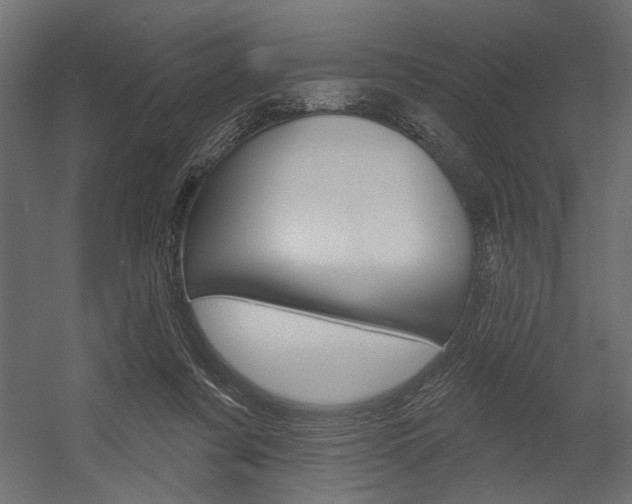 X0000054360311200507290812