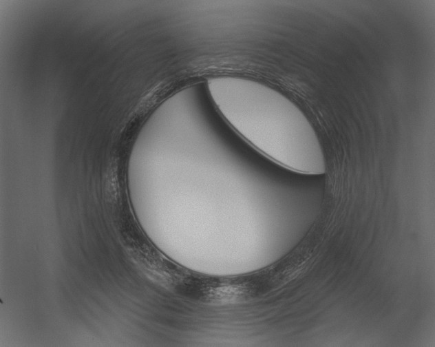 X0000054360312200507290812