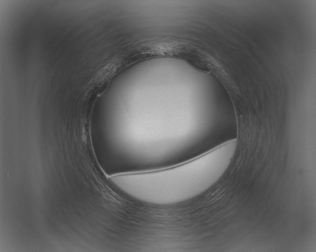 X0000054360313200507290812
