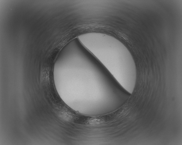X0000054360315200507290812