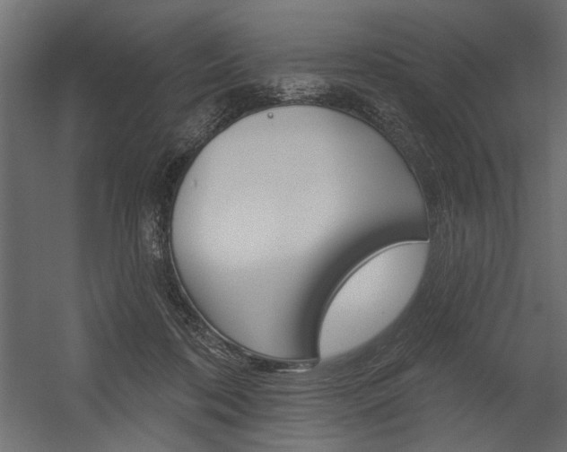 X0000054360316200507290811