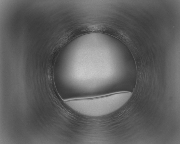 X0000054360317200507290811