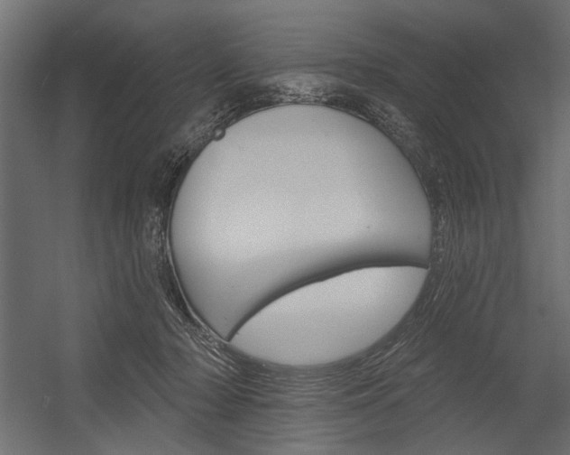 X0000054360318200507290811