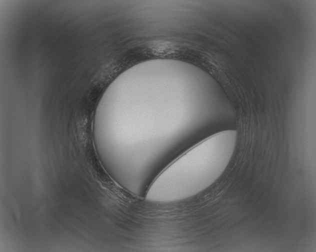 X0000054360319200507290811