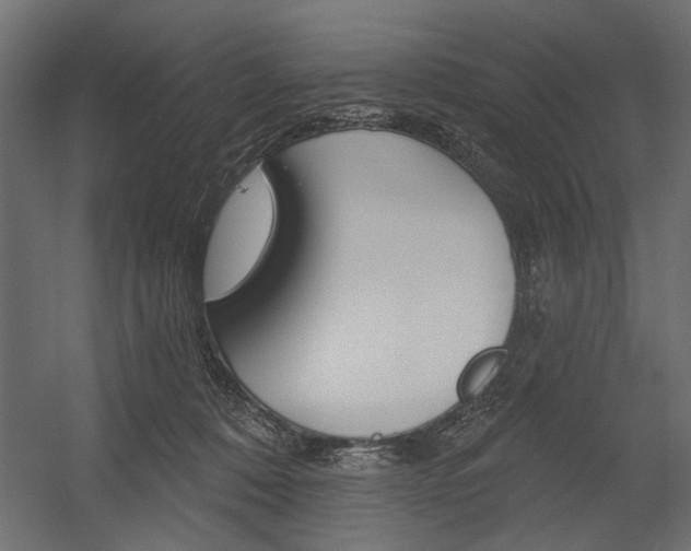 X0000054360320200507290811