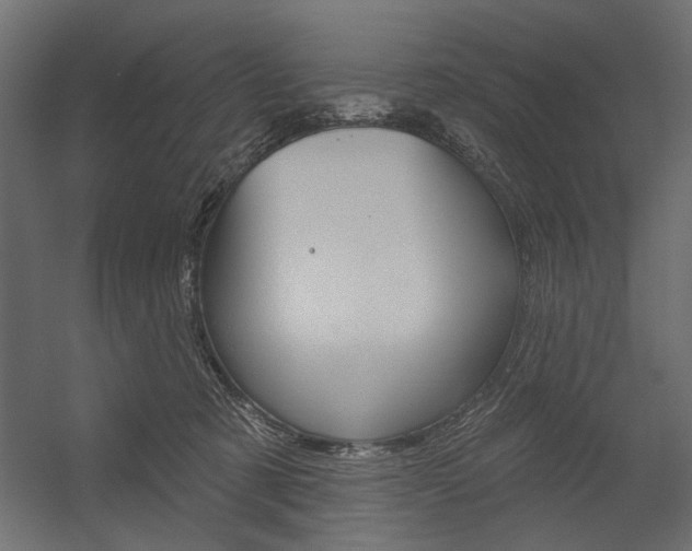 X0000054360321200507290811