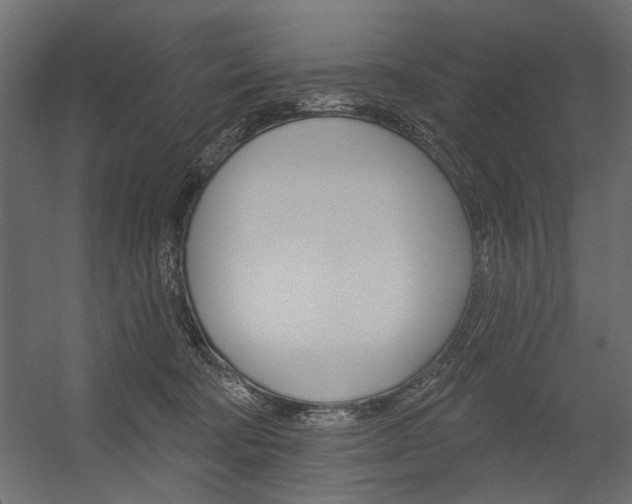 X0000054360322200507290811