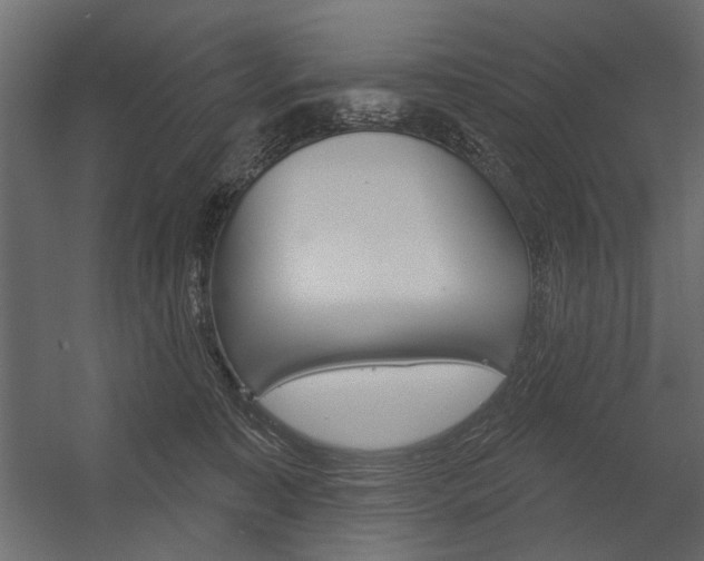 X0000054360323200507290811
