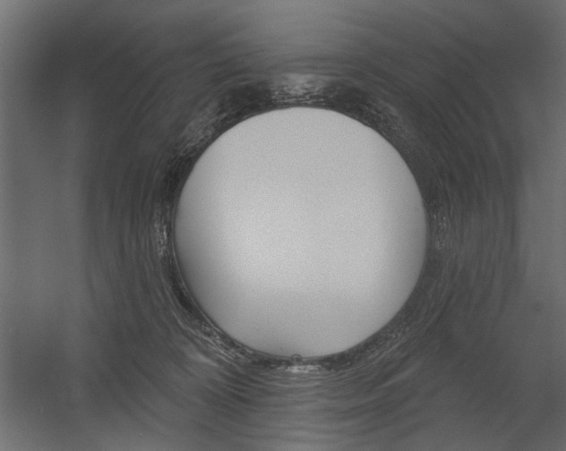 X0000054360324200507290811