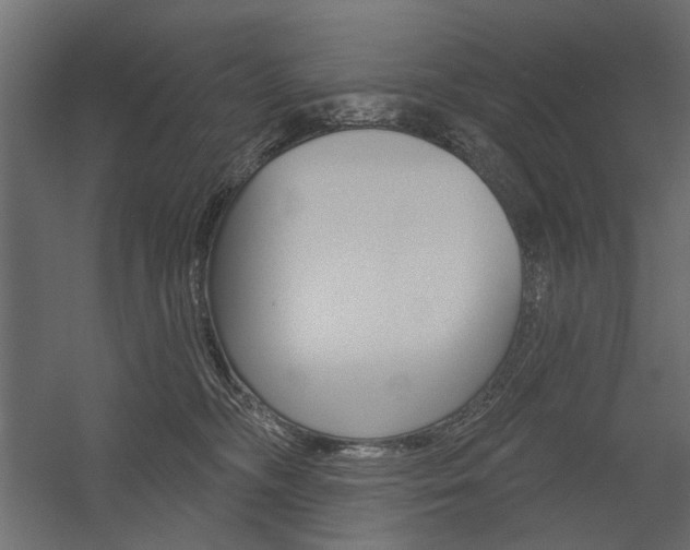 X0000054360326200507290811