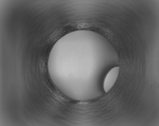 X0000054360327200507290811