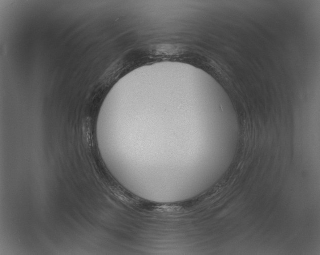 X0000054360328200507290811