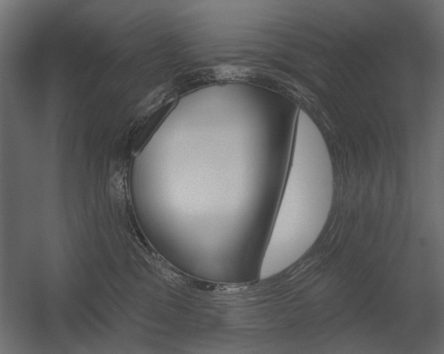 X0000054360329200507290811