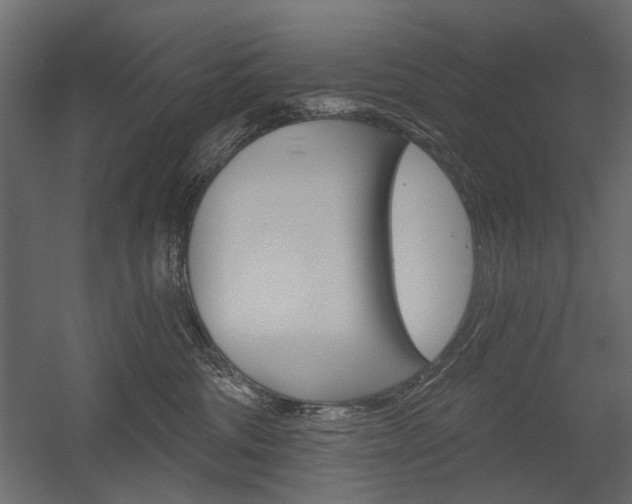 X0000054360330200507290811