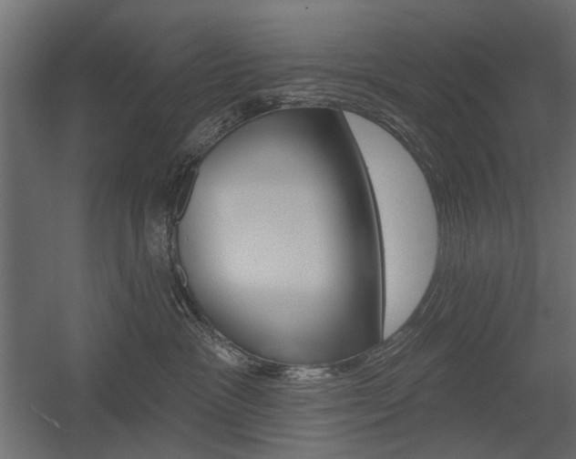 X0000054360333200507290811