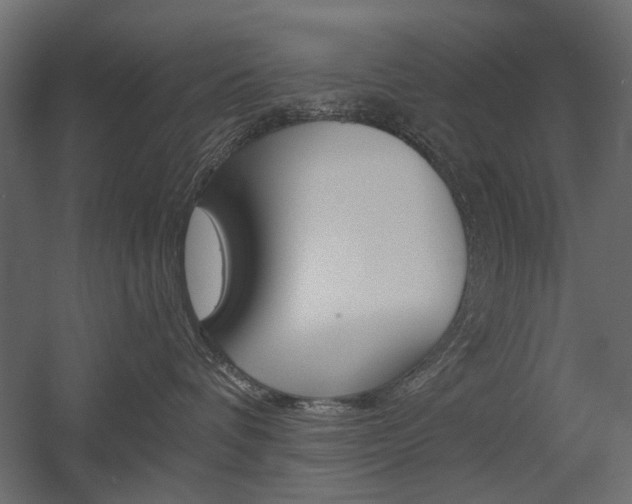 X0000054360336200507290811