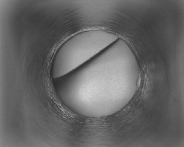 X0000054360337200507290810