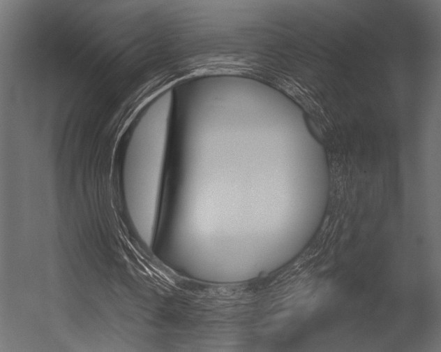 X0000054360338200507290810