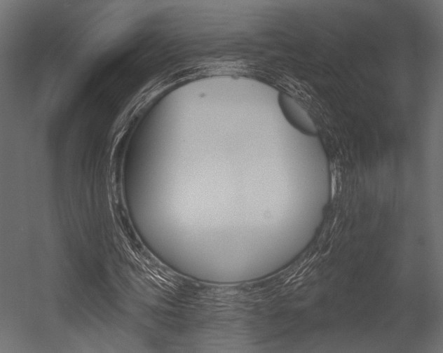 X0000054360339200507290810