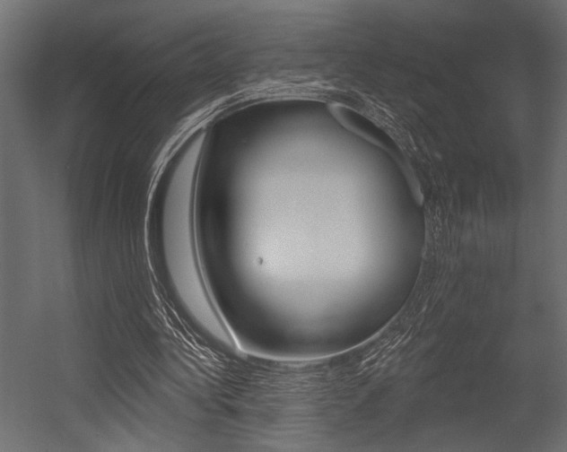 X0000054360340200507290810