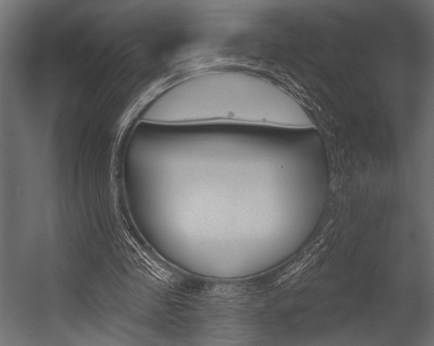 X0000054360341200507290810