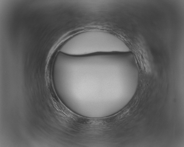 X0000054360343200507290810