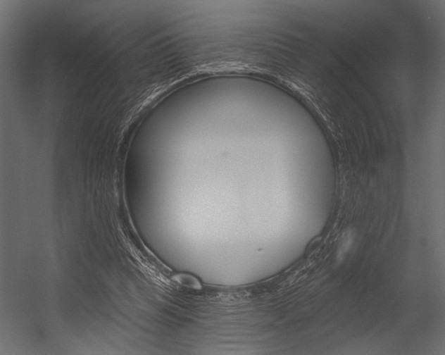 X0000054360345200507290810