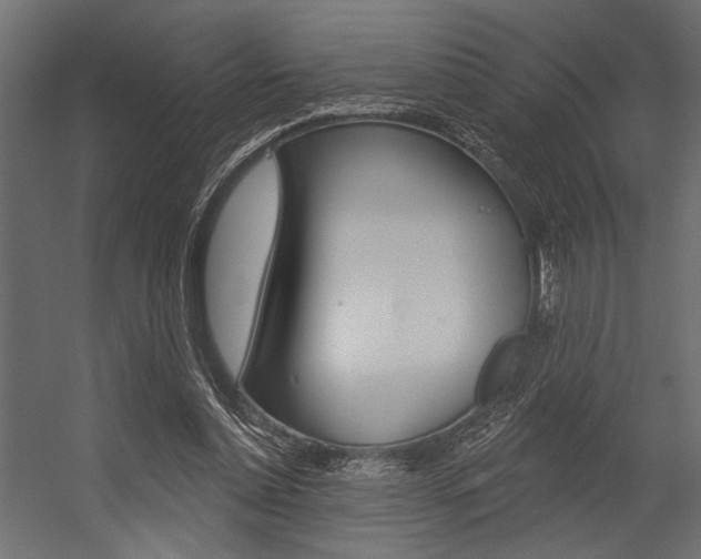 X0000054360348200507290811
