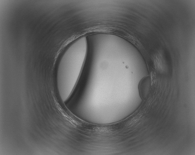 X0000054360349200507290811