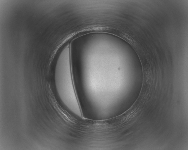 X0000054360350200507290811