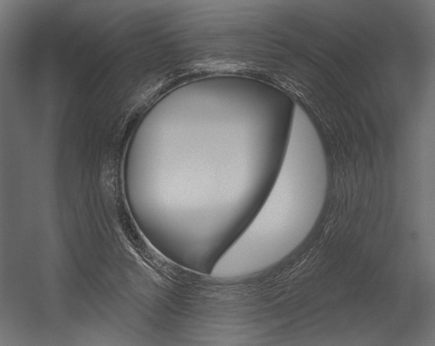 X0000054360352200507290811