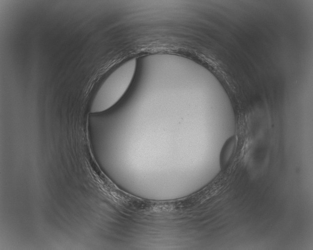 X0000054360353200507290811