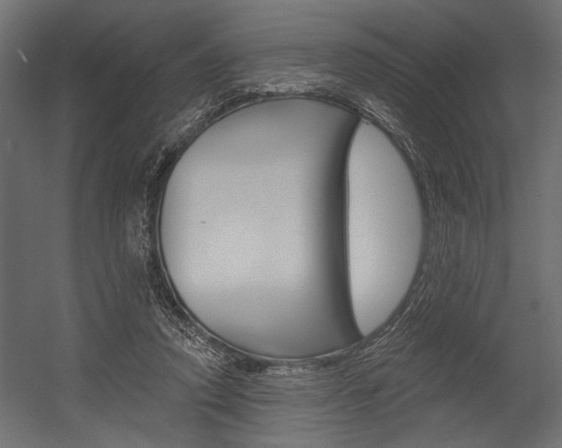 X0000054360354200507290811