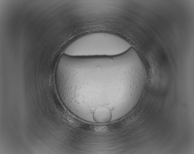 X0000054360355200507290811