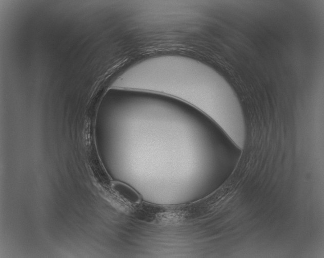 X0000054360356200507290811
