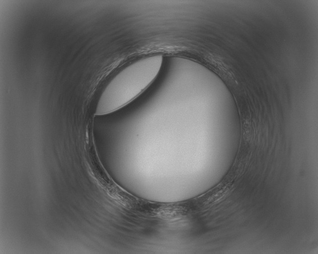 X0000054360358200507290811