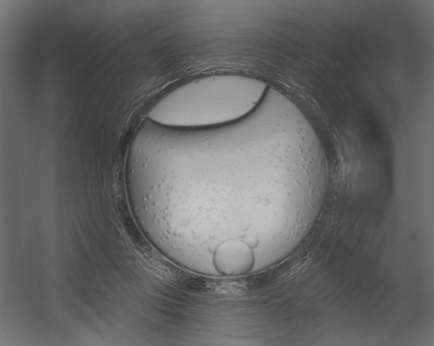 X0000054360359200507290811