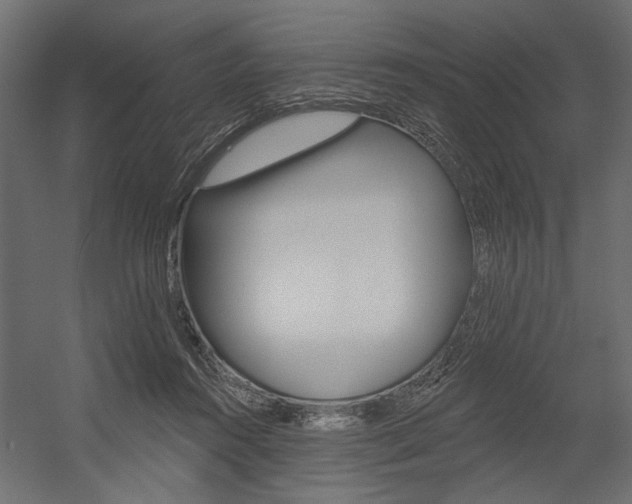 X0000054360360200507290811