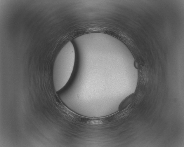 X0000054360361200507290811