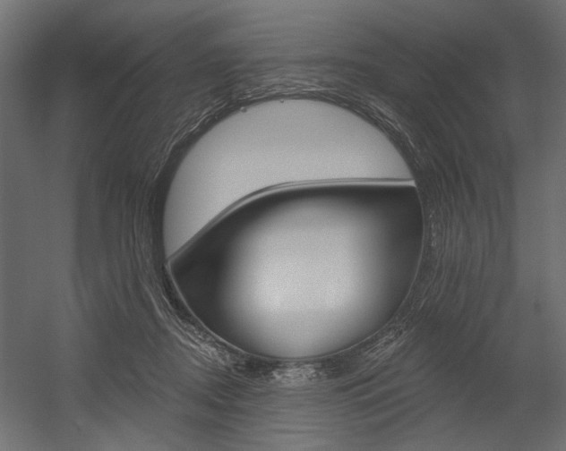 X0000054360362200507290811